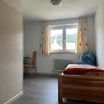 Alpenblick Hotel 2*