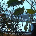 Hotel Alpenblick