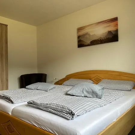 Hotel Pension Alpenblick Schattwald 2*