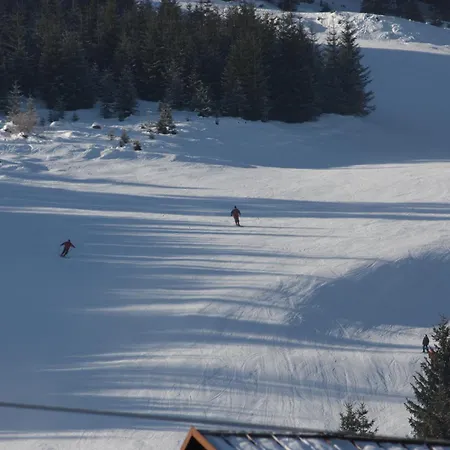 Pension Alpenblick Schattwald 2*