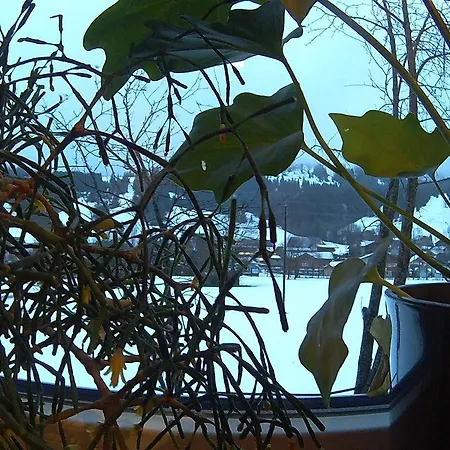 Hotel Pension Alpenblick Schattwald
