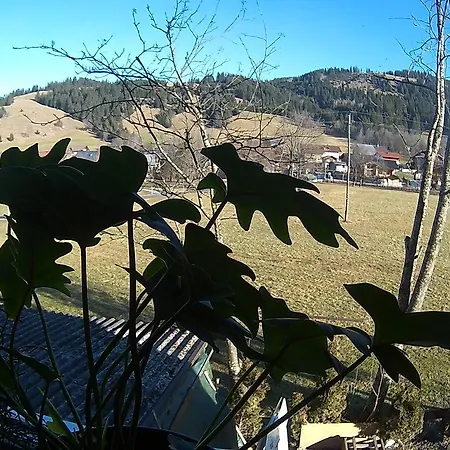 Hotel Pension Alpenblick Schattwald 2*