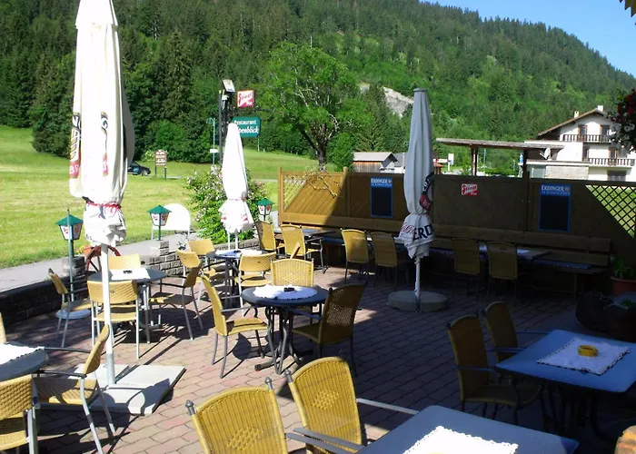 Alpenblick 2*