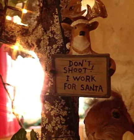 Alpenblick Hotel Schattwald